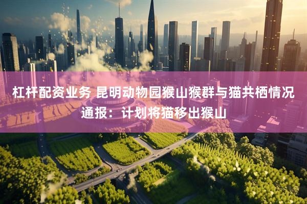 杠杆配资业务 昆明动物园猴山猴群与猫共栖情况通报：计划将猫移出猴山
