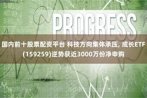 国内前十股票配资平台 科技方向集体承压, 成长ETF(159259)逆势获近3000万份净申购